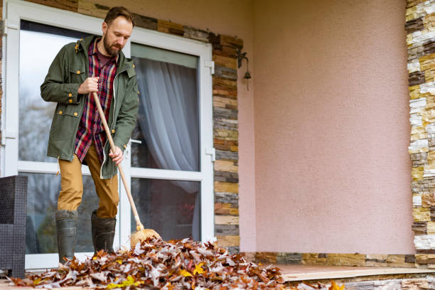Best Electronics Removal Services  in Beale Af, CA